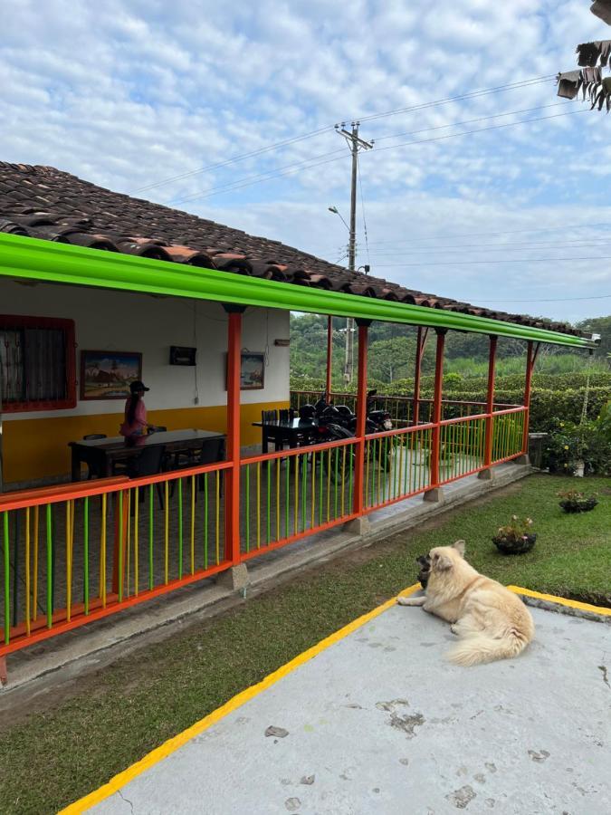 Alojamiento Campestre Hawaii Montenegro Exteriér fotografie